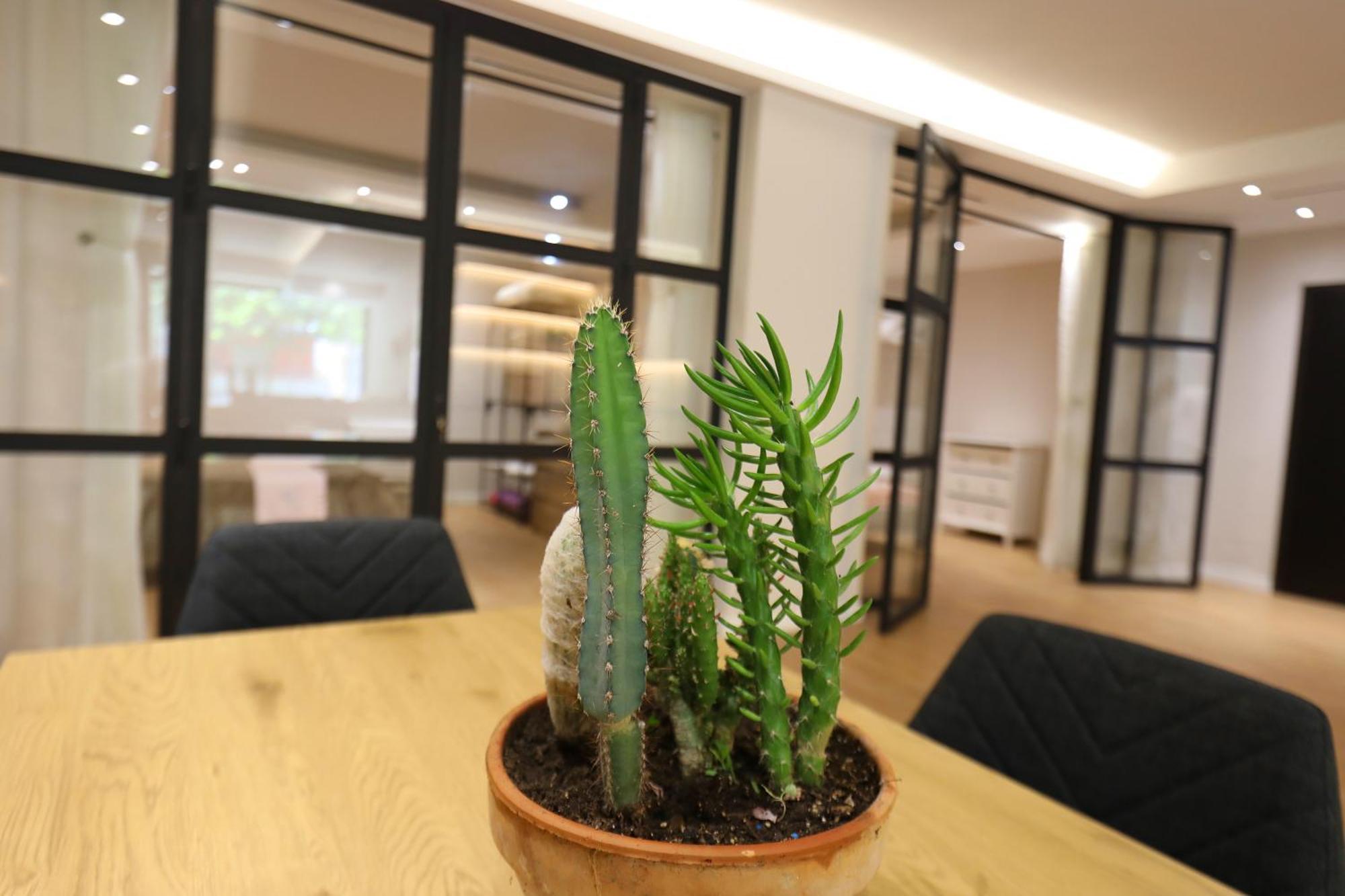 Amantia Apartment Vlore Ngoại thất bức ảnh